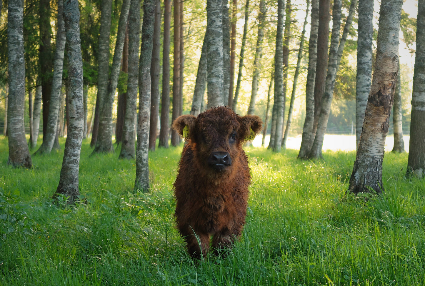 Ich bin ich. Leinwand
