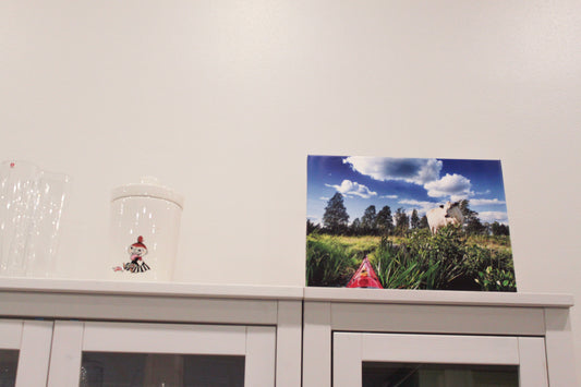 Mein Freund Vieno. Leinwand