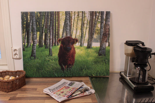 Ich bin ich. Leinwand